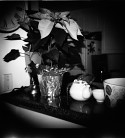 Counter Top